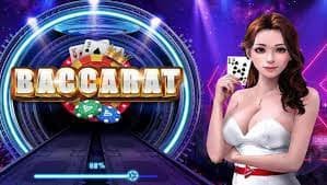 Dashboard multi-olahraga data togel dengan statistik langsung